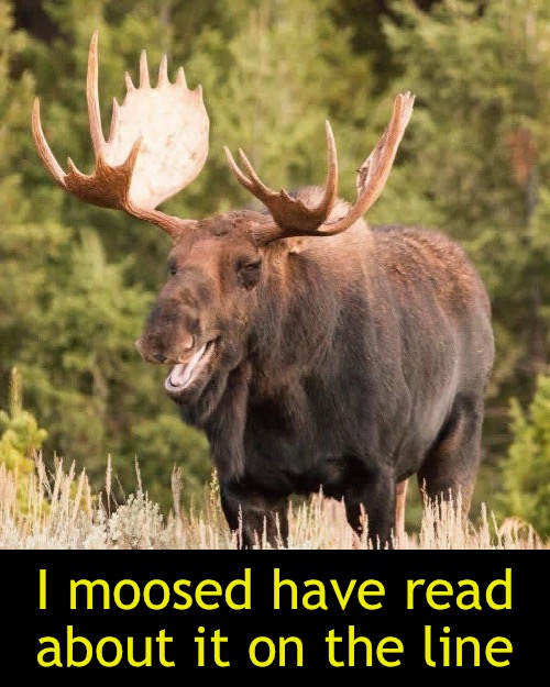 I moosed have read about it on the line | made w/ Imgflip meme maker