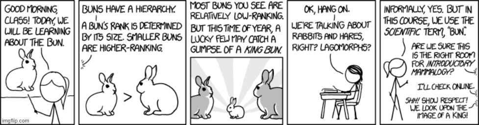 image tagged in school,teacher,rabbits,bun,ranks,ranking | made w/ Imgflip meme maker