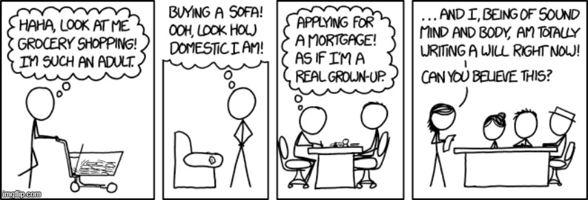 Me trying to blend in with all the other adults: | image tagged in adult,adulting,shopping,sofa,mortgage,will | made w/ Imgflip meme maker