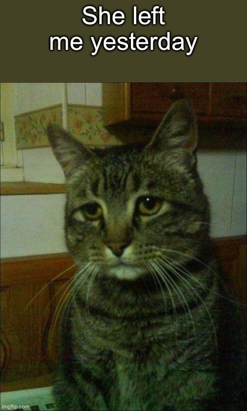 Amogus | She left me yesterday | image tagged in memes,depressed cat | made w/ Imgflip meme maker