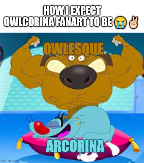 And btw owlcorina is canon | How I expect owlcorina fanart to be 😭✌🏻; Owlesque; Arcorina | image tagged in buff zig protecting sleeping oggy | made w/ Imgflip meme maker