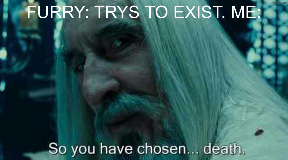 So you have chosen death | Furry: trys to exist. Me: | image tagged in so you have chosen death | made w/ Imgflip meme maker