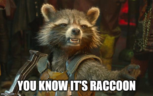 Rocket Raccoon | You know it's raccoon | image tagged in rocket raccoon | made w/ Imgflip meme maker