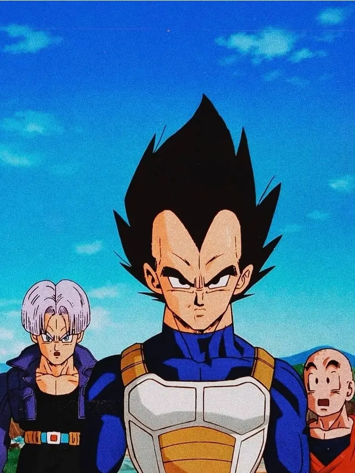 Vegeta Blank Meme Template