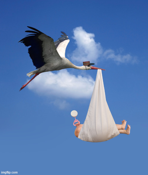 Stork, NATALISM, babies  | image tagged in stork natalism babies | made w/ Imgflip meme maker