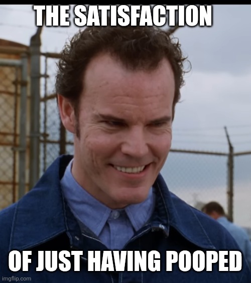 Just pooped! | The satisfaction; Of Just having pooped | image tagged in wishmaker,pooping | made w/ Imgflip meme maker