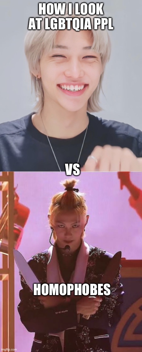 Skz | How I look at lgbtqia ppl; Vs; Homophobes | image tagged in skz | made w/ Imgflip meme maker