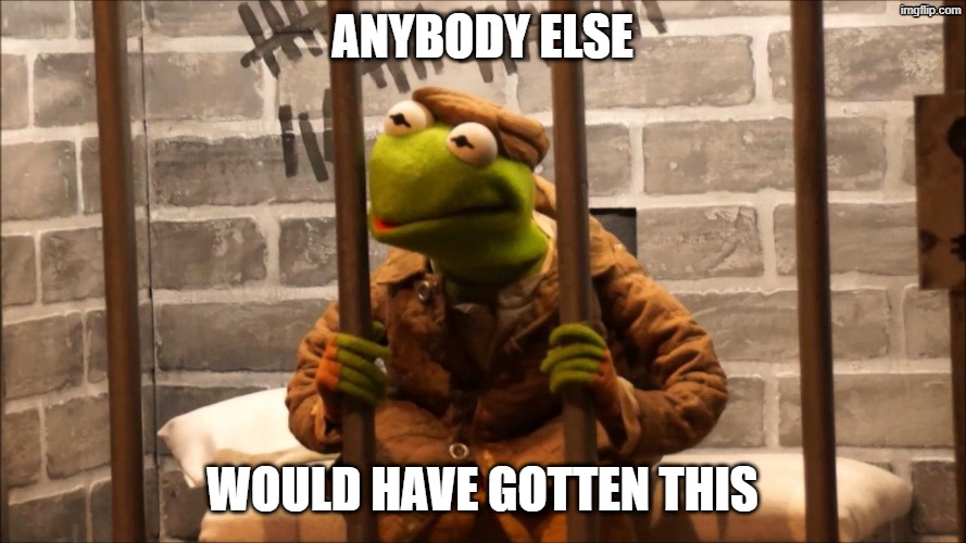 Kermit in jail | anybody else would have gotten this | image tagged in kermit in jail | made w/ Imgflip meme maker