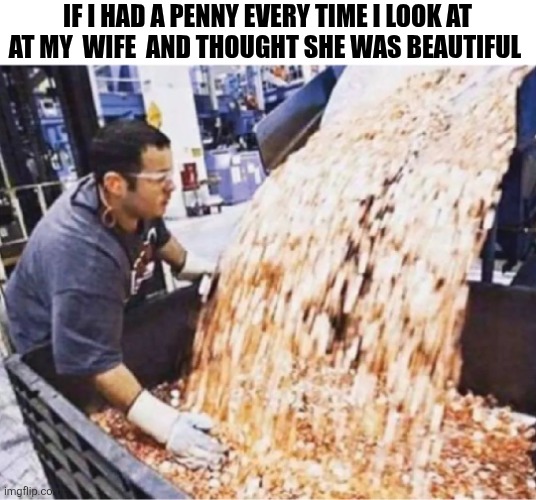 If I Had A Penny | If i had a penny every time I look at at my  wife  and thought she was beautiful | made w/ Imgflip meme maker