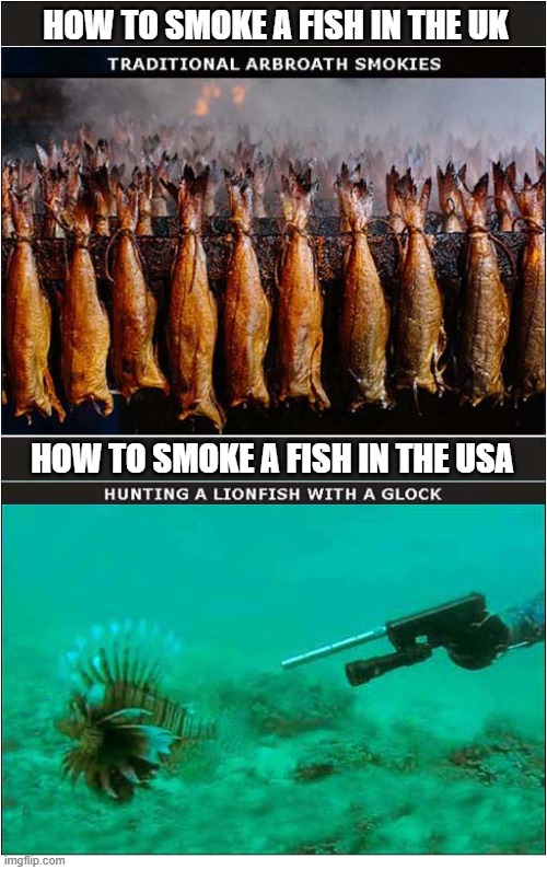 It's The Little Differences ... | How To Smoke A Fish in the UK; How To Smoke A Fish in the USA | image tagged in differences,usa,uk,smoking,fish | made w/ Imgflip meme maker