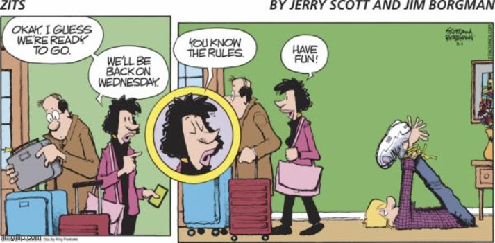 Zits | image tagged in comics | made w/ Imgflip meme maker