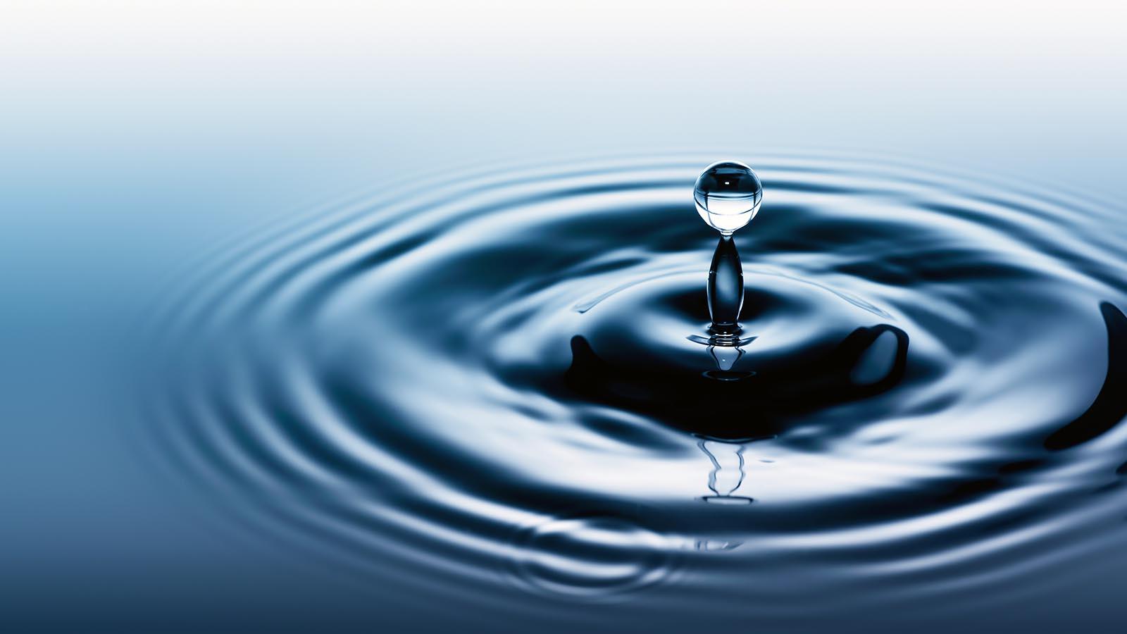 water Blank Meme Template