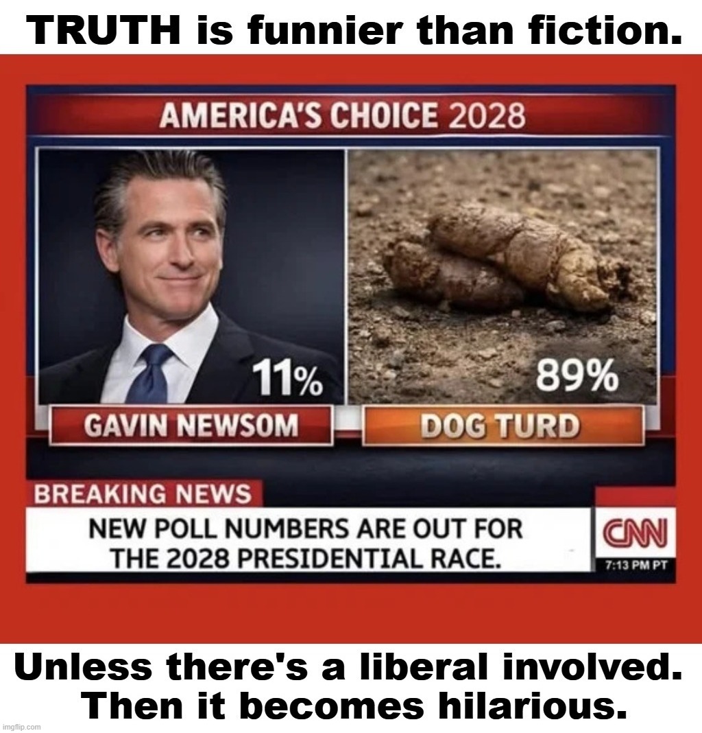 TRUTH is funnier than fiction. Unless there's a liberal involved. | image tagged in truth vs fiction,stupid people be like,gavin,turds,shit for brains,shitpost | made w/ Imgflip meme maker