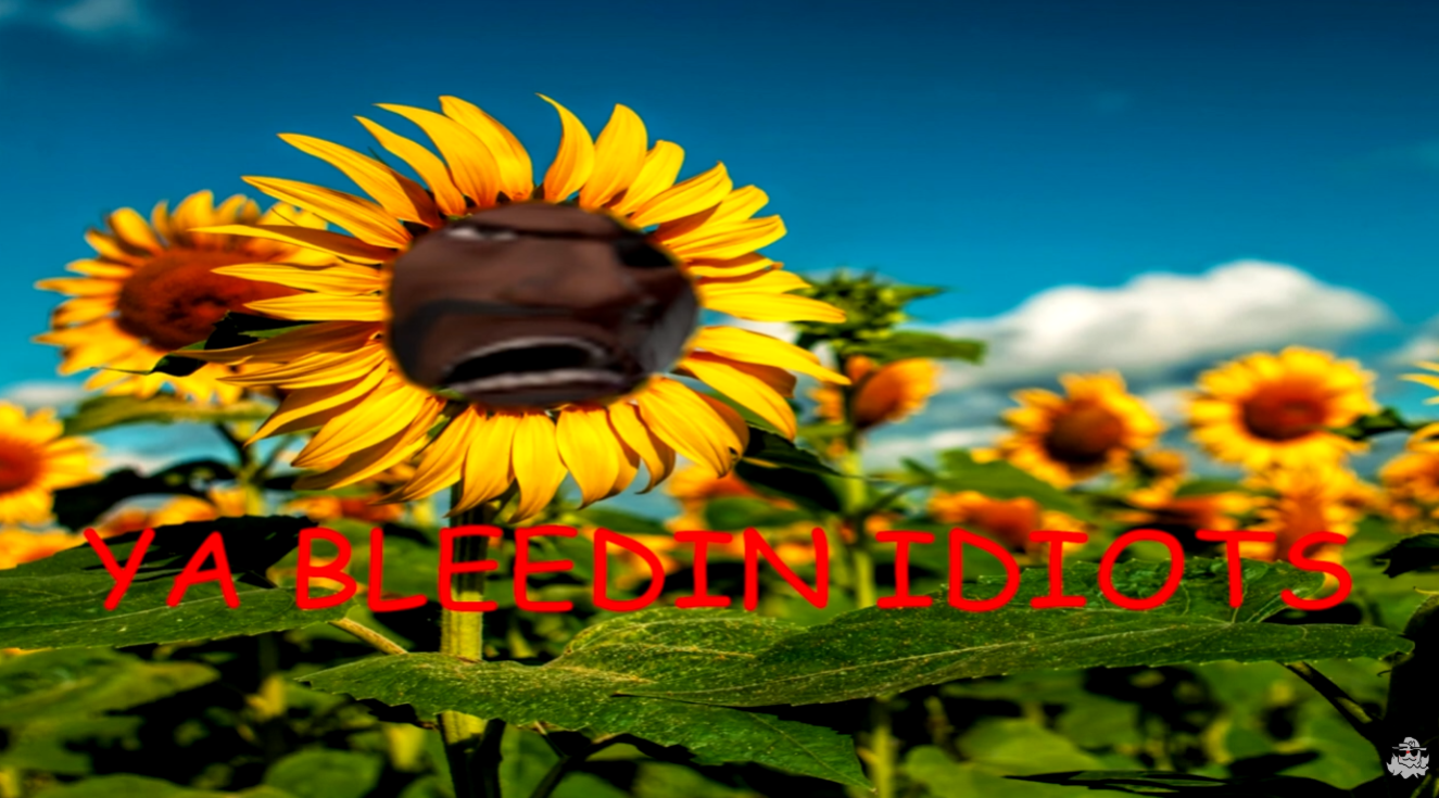 YA BLEEDIN IDIOTS Blank Meme Template