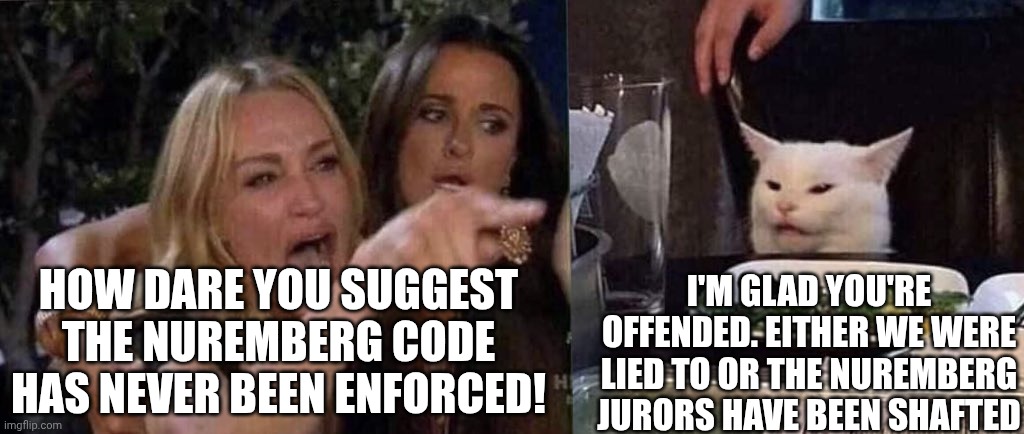 And on today's episode of bad politicking... Hans, are we the baddies? | How dare you suggest the Nuremberg code has never been enforced! I'm glad you're offended. Either we were lied to or the Nuremberg jurors have been shafted | image tagged in woman yelling at cat,nazis,covid-19 | made w/ Imgflip meme maker