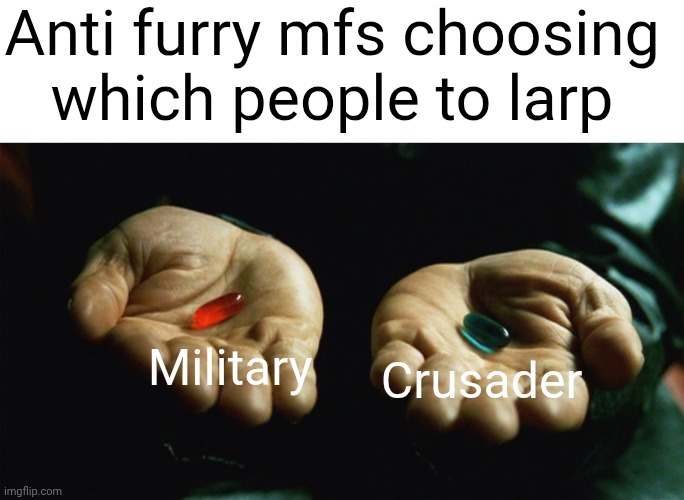 Always one of these two, nothing else, nothing in between | Anti furry mfs choosing which people to larp; Military; Crusader | image tagged in red pill blue pill | made w/ Imgflip meme maker