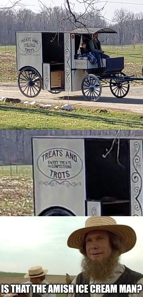 AMISH ICE CREAM | Is that the Amish ice cream man? | image tagged in amish you so much,amish,ice cream | made w/ Imgflip meme maker