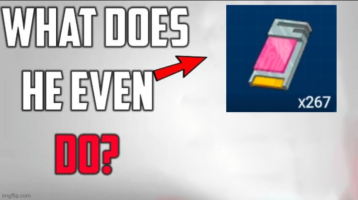 What Does He Even Do Blank Template | image tagged in what does he even do blank template | made w/ Imgflip meme maker