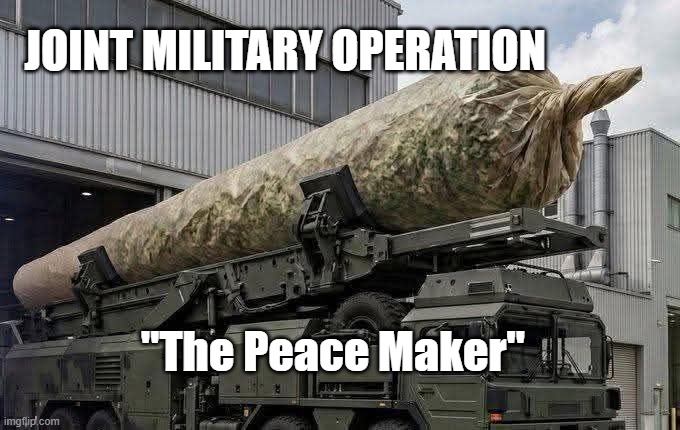 The Peace Maker | JOINT MILITARY OPERATION; "The Peace Maker" | image tagged in military humor,satire | made w/ Imgflip meme maker