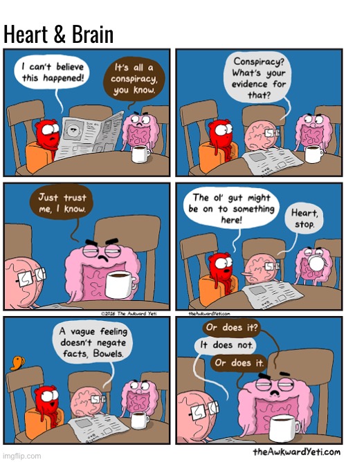 He has a gut feeling about the whole situation | Heart & Brain | image tagged in comics,the awkward yeti,heart and brain,bowels,gut feeling,organs | made w/ Imgflip meme maker