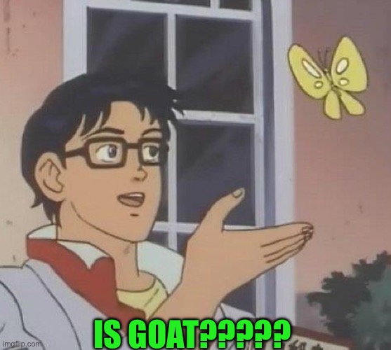 Is goat? | Is goat????? | image tagged in funny | made w/ Imgflip meme maker