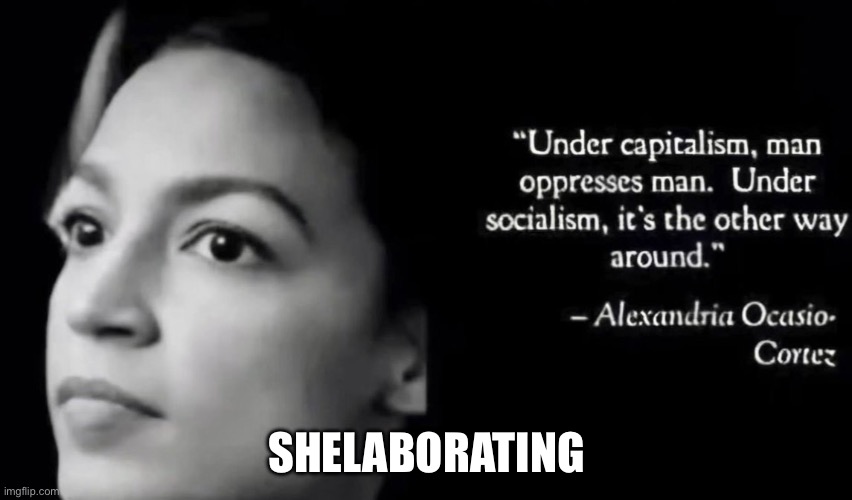 AOC WILL RULE THE WORLD | Shelaborating | image tagged in aoc 2028,funny cats | made w/ Imgflip meme maker