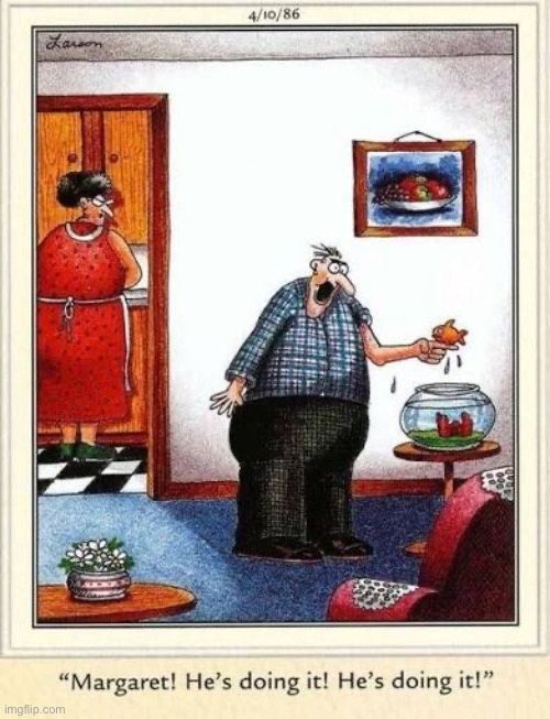 Stupid pet tricks | image tagged in the far side,comics,goldfish,finger,perched,stupid pet tricks | made w/ Imgflip meme maker