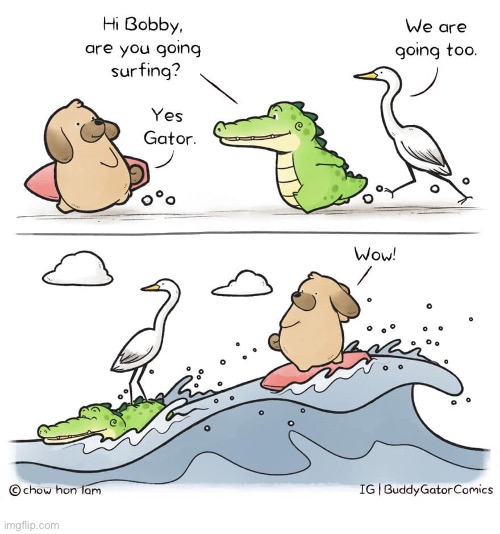 Buddy Gator | image tagged in comics,buddy gator,animals,surfing,wave,helping hand | made w/ Imgflip meme maker