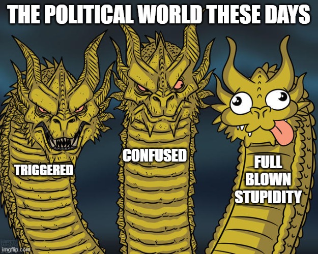 That's just how I see it these days. | the political world these days; confused; full blown stupidity; Triggered | image tagged in three-headed dragon | made w/ Imgflip meme maker
