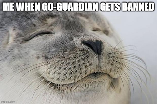 Satisfied Seal Meme | Me when go-guardian gets banned | image tagged in memes,satisfied seal | made w/ Imgflip meme maker