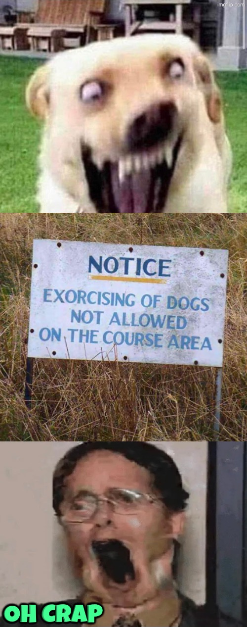 No Exorcising Of Dogs | Oh crap | image tagged in dogs,exorcist,possessed,oh crap,funny signs,spelling error | made w/ Imgflip meme maker