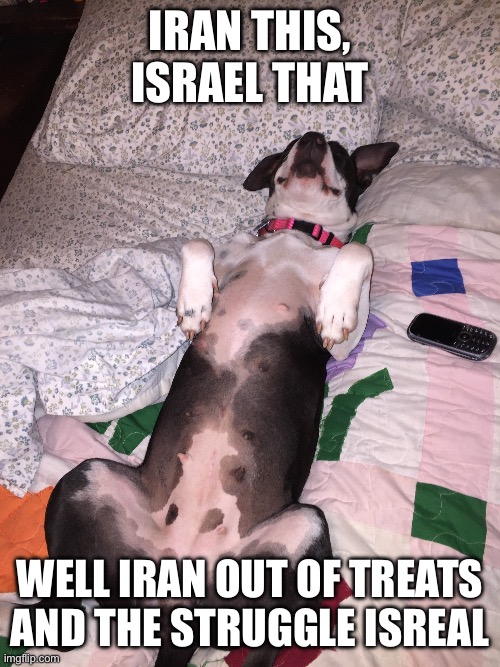 Princess Zelda | Iran this, Israel that; Well Iran out of treats and the struggle isreal | image tagged in funny dogs,dogs | made w/ Imgflip meme maker