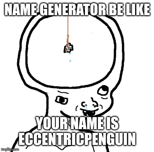 Name generator be like Your name is eccentricpenguin | image tagged in dumb wojak | made w/ Imgflip meme maker