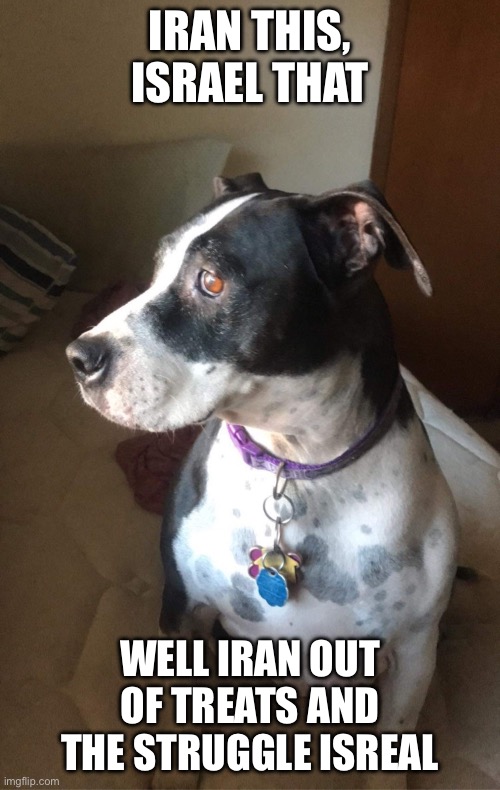 Princess Zelda waiting | Iran this, Israel that; Well Iran out of treats and the struggle isreal | image tagged in img_1334 jpeg | made w/ Imgflip meme maker