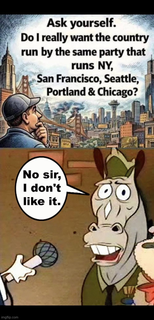 They want the entire country run exactly the same way as their run-down, crime-ridden blue cities are | image tagged in political meme,leftist cities,democrats,blue cities,the usa,i dont like it | made w/ Imgflip meme maker