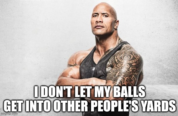 La Roca: Ayer Vino | I don't let my balls get into other people's yards | image tagged in la roca ayer vino | made w/ Imgflip meme maker
