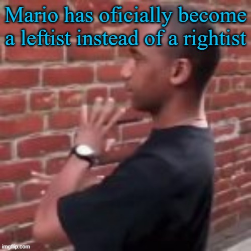 Brickfighter | Mario has oficially become a leftist instead of a rightist | image tagged in brickfighter | made w/ Imgflip meme maker