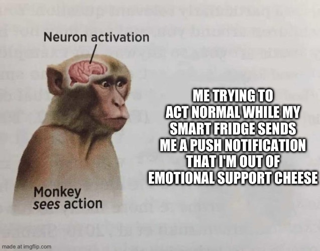 Monkey neuron activation | ME TRYING TO ACT NORMAL WHILE MY SMART FRIDGE SENDS ME A PUSH NOTIFICATION THAT I'M OUT OF EMOTIONAL SUPPORT CHEESE | image tagged in monkey neuron activation | made w/ Imgflip meme maker