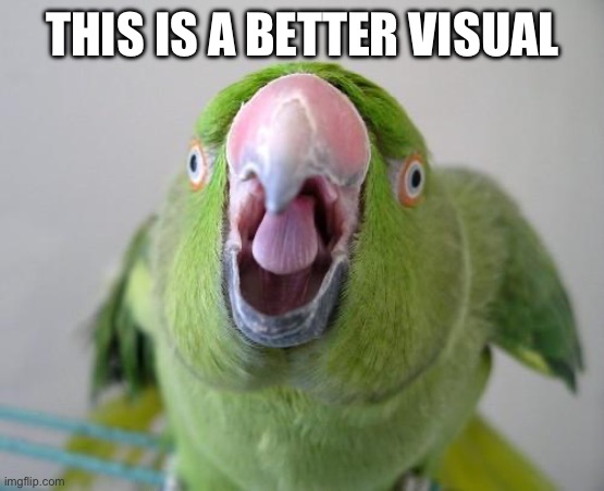 This is a better visual | image tagged in parrot | made w/ Imgflip meme maker