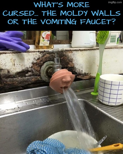 Which Is More Cursed | What's more cursed... The moldy walls or the vomiting faucet? | image tagged in cursed images,sink,mold,vomit,which one,drink bleach | made w/ Imgflip meme maker