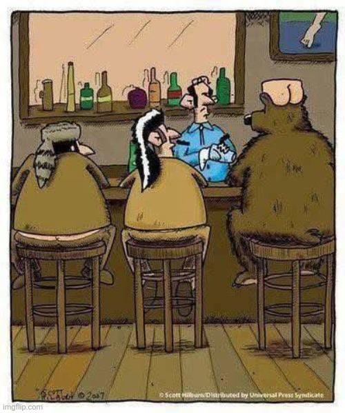 Well, this is awkward... | image tagged in raccoon,skunk,hats,bear,bare,asshat | made w/ Imgflip meme maker
