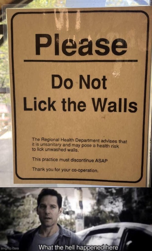 Dem tasty walls, tho | image tagged in what the hell happened here,wall,licking,idiots | made w/ Imgflip meme maker