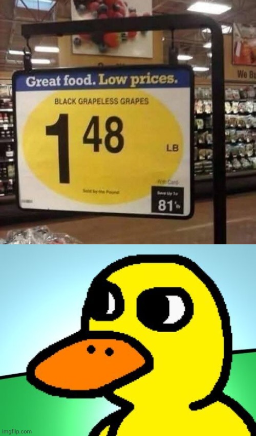 Got any grapes? | image tagged in duck song,grapes,got any grapes,grapeless in greattle | made w/ Imgflip meme maker