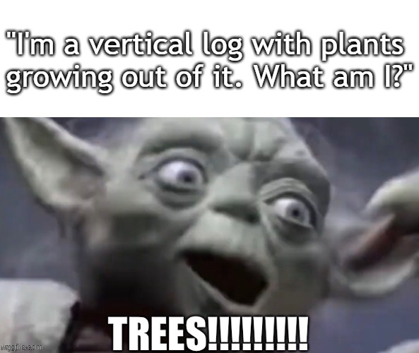 We obviously know the answer. | "I'm a vertical log with plants 
growing out of it. What am I?" | image tagged in trees yoda,trees,wood,yoda,star wars,random tag | made w/ Imgflip meme maker