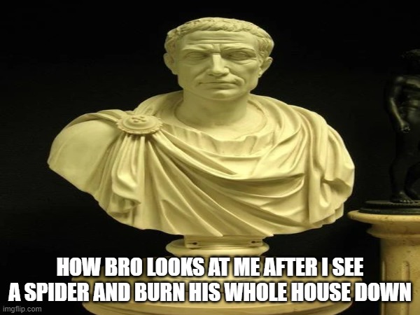 Jules Seizure meme | How bro looks at me after I see a spider and burn his whole house down | image tagged in house,roman,statue,spider,fire | made w/ Imgflip meme maker