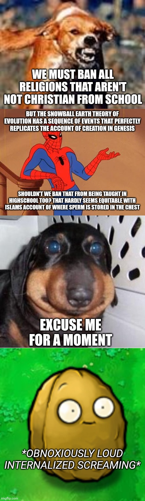 Internet troll debates with self-taught Christian metaphysicists in a nutshell | We must ban all religions that aren't not Christian from school; But the snowball earth theory of evolution has a sequence of events that perfectly replicates the account of creation in genesis; Shouldn't we ban that from being taught in highschool too? That hardly seems equitable with islams account of where sperm is stored in the chest; Excuse me for a moment; *obnoxiously loud internalized screaming* | image tagged in rabid dog,you know why i'm here spiderman,derp-a-dog,wall-nut | made w/ Imgflip meme maker