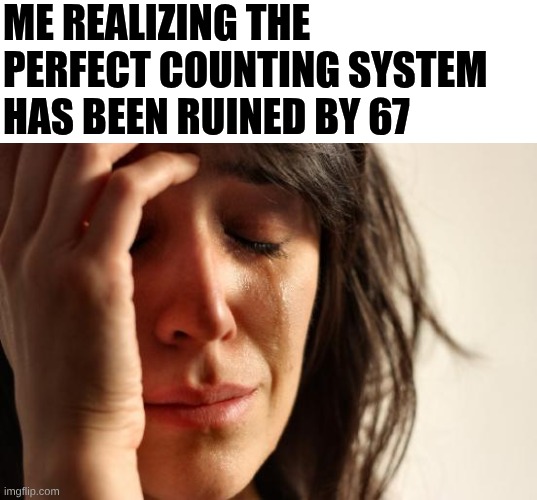 why..? WHYYYY!!!! | Me realizing the perfect counting system has been ruined by 67 | image tagged in memes,first world problems,67 | made w/ Imgflip meme maker