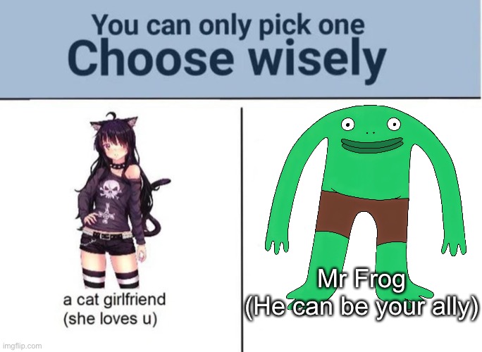 Cat girl or Mr Frog | Mr Frog
(He can be your ally) | image tagged in choose wisely,mr frog,smiling friends | made w/ Imgflip meme maker