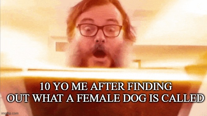 jack black reading book | 10 yo me after finding out what a female dog is called | image tagged in jack black reading book | made w/ Imgflip meme maker