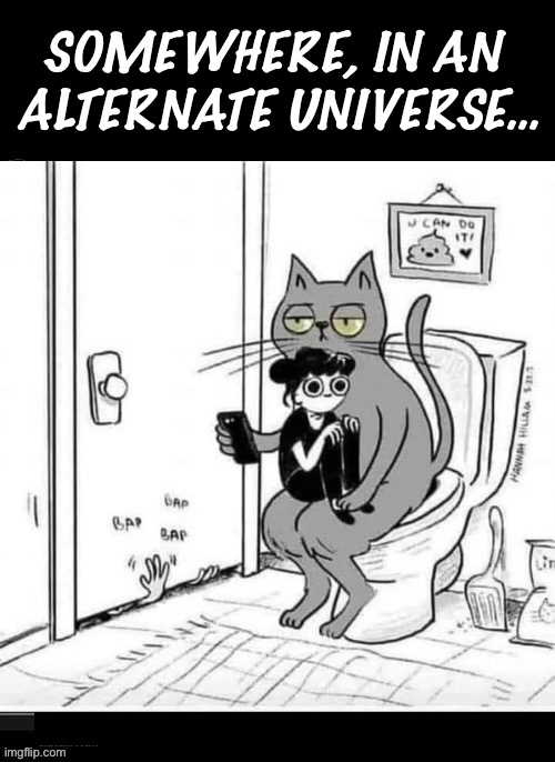 Interesting… | Somewhere, in an 
alternate universe… | image tagged in cats,cartoon,alternate universe,role reversal,bathroom,master and pet | made w/ Imgflip meme maker